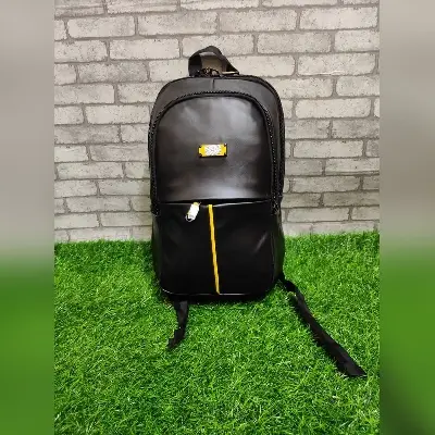 Picture of Exclusive Fashionable Backpack For Women