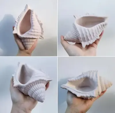 Picture of 01 pcs Colourful Gypsum big shell multipurpouse holder for home decor White