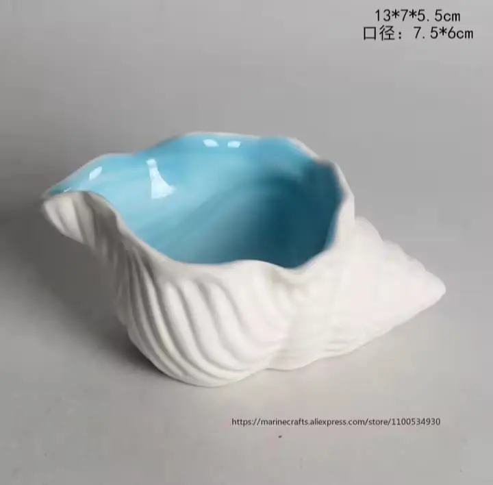 Picture of 01 pcs Colourful small shell tray for home decor White