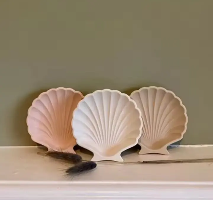 Picture of 01 pcs colourful gypsum Shell tray for home decore White