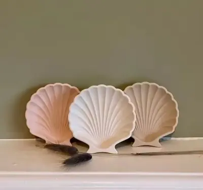 Picture of 01 pcs colourful gypsum Shell tray for home decore White