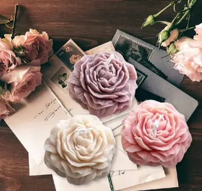 Picture of 01 pcs Colourful Gypsum flower for home decor White