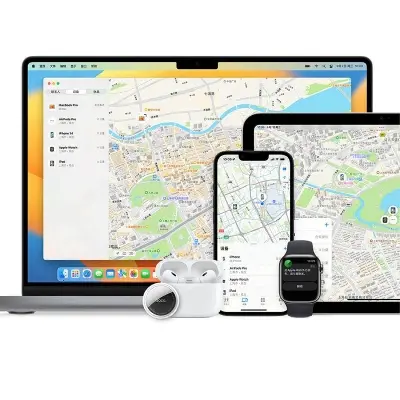 Picture of E91 Tiger smart positioning anti-loss device set (4 pieces) -Black