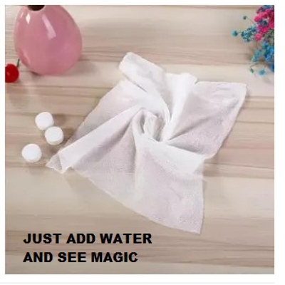 Picture of 5 Pieces Wet Facial Tissues Compressed Face Towels Tissues