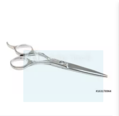 Picture of Professional Hairdressing Ice Scissor - Silver -Silver