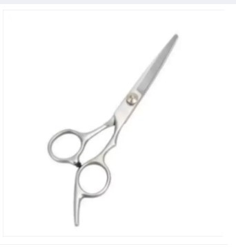Picture of Professional Hairdressing Ice Scissor - Silver -Silver