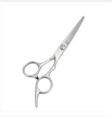 Picture of Professional Hairdressing Ice Scissor - Silver -Silver