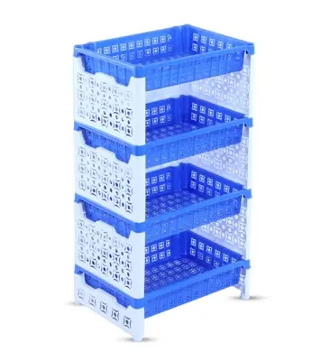 Buy Nova Rack 4 Step Two Color Online at Best Price