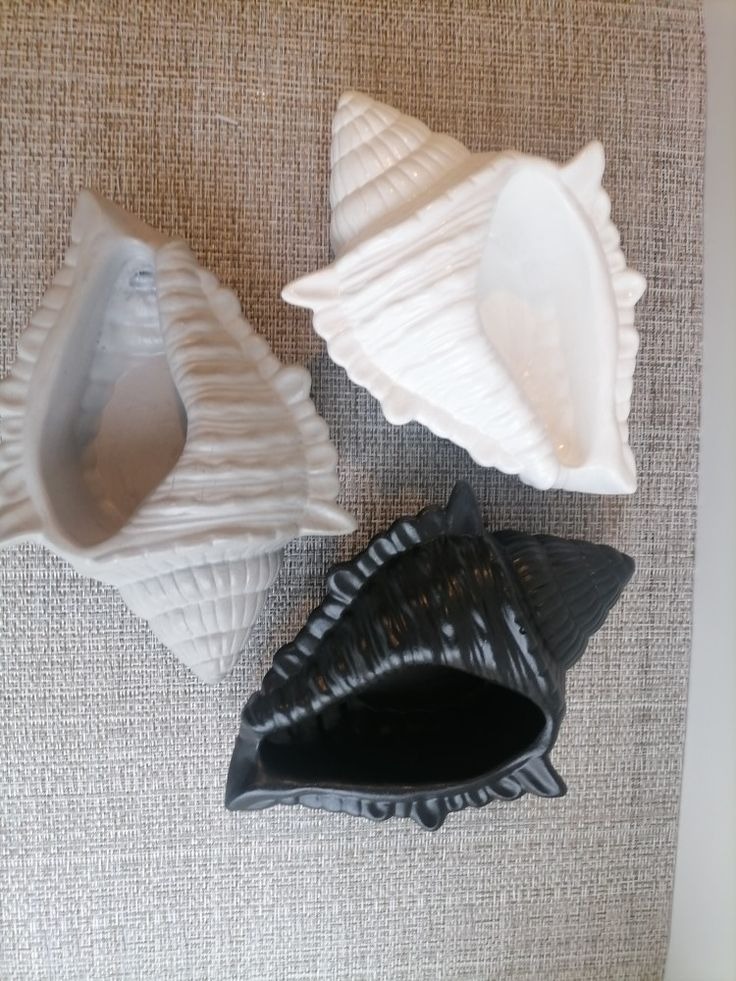 Picture of Elegant Conch Shell Shaped Decorative Bowl | Handmade Gypsum Art Showpiece | Unique White Sea Shell Design Home Décor Gift Item --- best for indoor planter, candle holder , jewellery or small things storage box, table and living room decorations