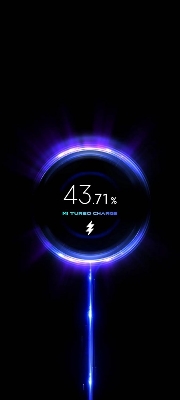 Picture of Xiaomi 33W Fast  Turbo Charger and 6A USB Type C Charging Cable
