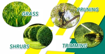 Picture of Cordless Grass Cutter with Lithium Battery SH-226 12V L, Grass Trimmers Cutting Machine Lawn Mowers Household, Electric Charging Pruning Portable Household Weeder Multifunction Brush Cutter Line Blue 