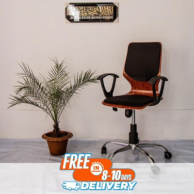 Picture of FF-EC-09ss Orthopedic back supported computer chair