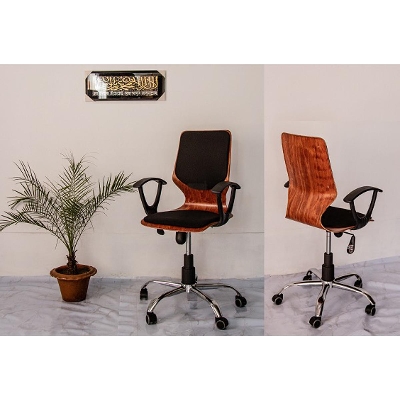 Picture of FF-EC-09ss Orthopedic back supported computer chair