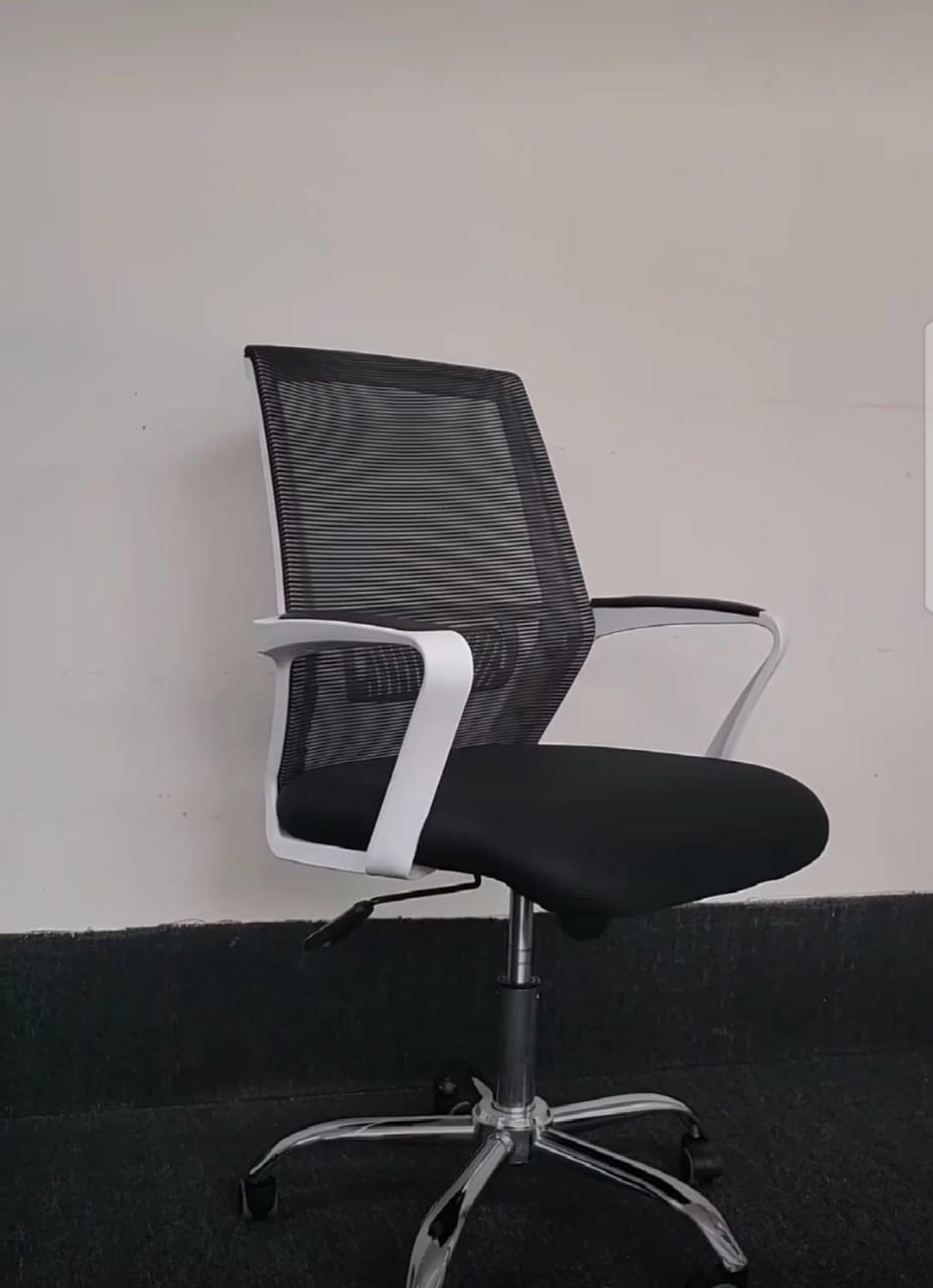 Picture of Smart Executive Office Chair Black&White (38k) FF-Ec-15ss (Black)