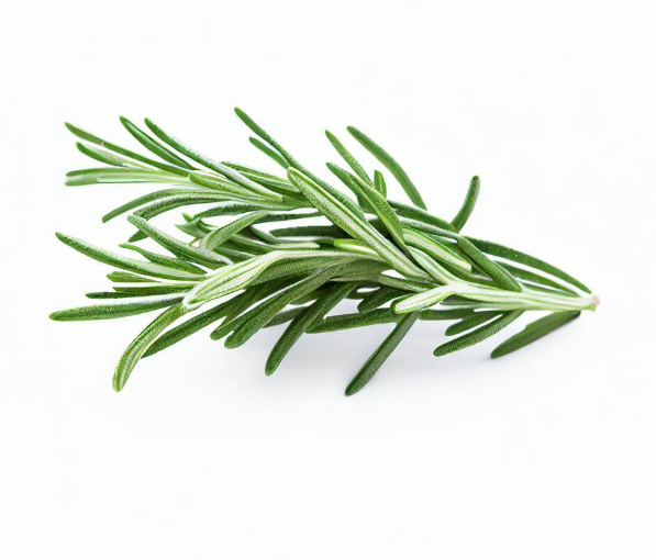 Picture of Rosemary Leaves - 100g