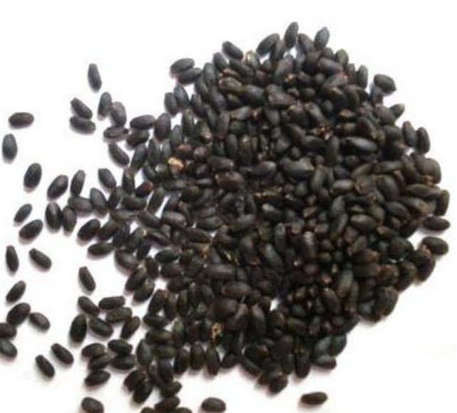 Picture of Tokma Dana Premium Basil seed - 500gm
