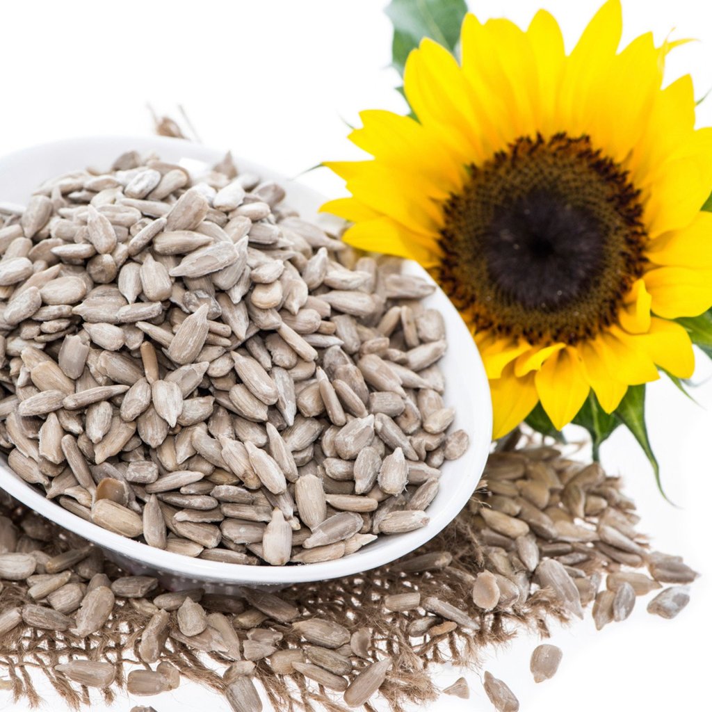 Picture of Sunflower Seeds Surjomukhi bichi  -500Gm jar
