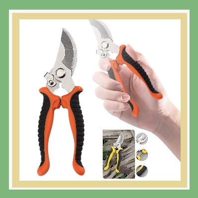 Picture of Best Quality eight Inch bypass Garden Scissors Fruit Tree Pruning Shears Bonsai Pruners Grafting Cutter Garden Tools (Multicolor)