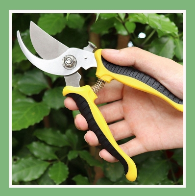 Picture of Best Quality eight Inch bypass Garden Scissors Fruit Tree Pruning Shears Bonsai Pruners Grafting Cutter Garden Tools (Multicolor)