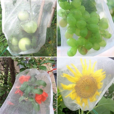 Picture of 10 PCS Fruit Garden Nylon Protection Bag Insect-proof protection Bag Insect Mesh Net for Anti Insect (Large)