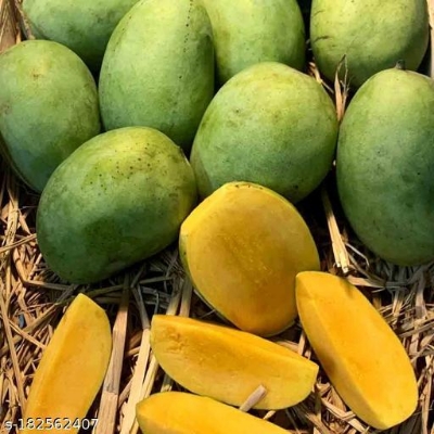 Picture of Langra Mango | ল্যাংড়া আম-(5 Kg)