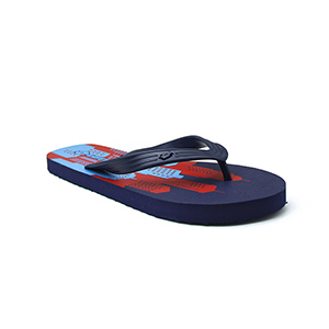 Picture of BLUE FLIP FLOP FOR MEN 8220962