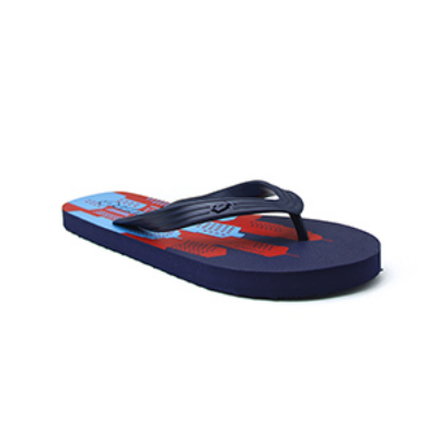Picture of BLUE FLIP FLOP FOR MEN 8220962