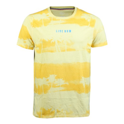 Picture of YELLOW T-SHITS LEISURE FOR MEN 8AE0887