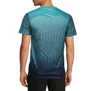 Picture of DARK SEA GREEN T-SHIRTS SPORTS FOR MEN 8AVSU19