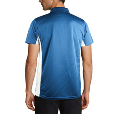 Picture of BLUE POLO SHIRTS SPORTS  FOR MEN 8BN0923