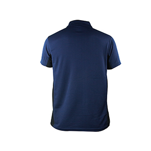 Picture of BLUE POLO SHIRTS SPORTS  FOR MEN 8BN0R22