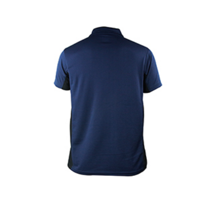 Picture of BLUE POLO SHIRTS SPORTS  FOR MEN 8BN0R22
