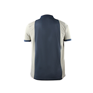 Picture of MULTICOLOR POLO SHIRTS SPORTS  FOR MEN 8BV0226