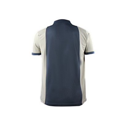 Picture of MULTICOLOR POLO SHIRTS SPORTS  FOR MEN 8BV0226