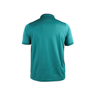 Picture of LIGHT SEA GREEN POLO SHIRTS SPORTS  FOR MEN 8BV0724