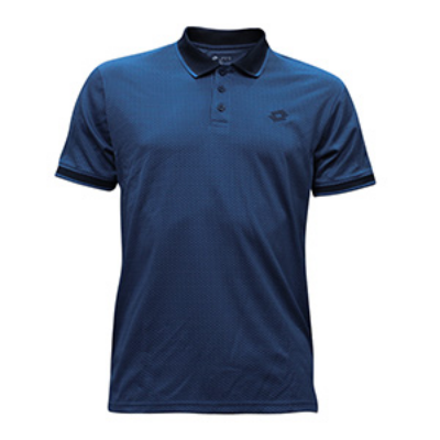 Picture of BLUE POLO SHIRTS SPORTS  FOR MEN 8BV0R24