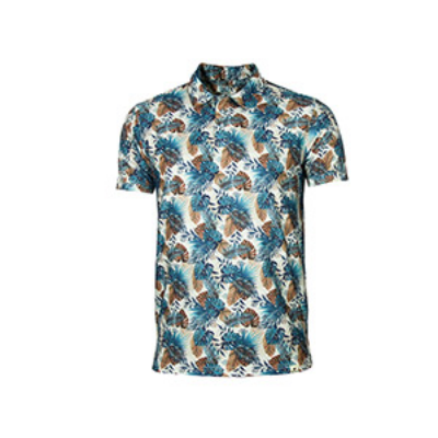 Picture of MULTICOLOR POLO SHIRTS SPORTS  FOR MEN 8BV4L25