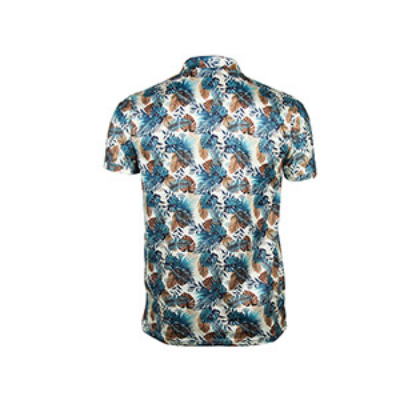 Picture of MULTICOLOR POLO SHIRTS SPORTS  FOR MEN 8BV4L25