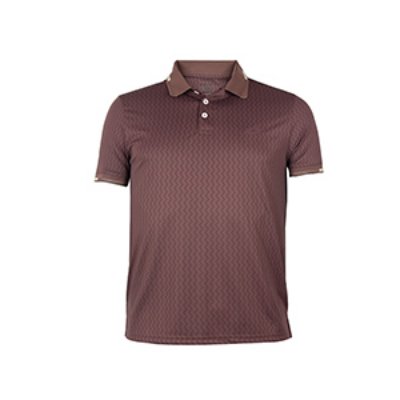 Picture of MAROON POLO SHIRTS SPORTS  FOR MEN 8BX0I34