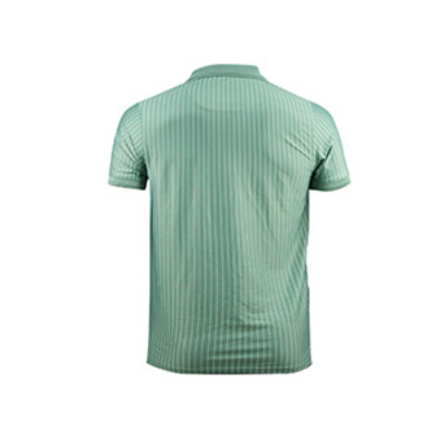 Picture of MULTICOLOR POLO SHIRTS SPORTS  FOR MEN 8BX0M38