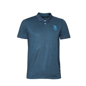 Picture of BLUE POLO SHIRTS SPORTS  FOR MEN 8BX1900