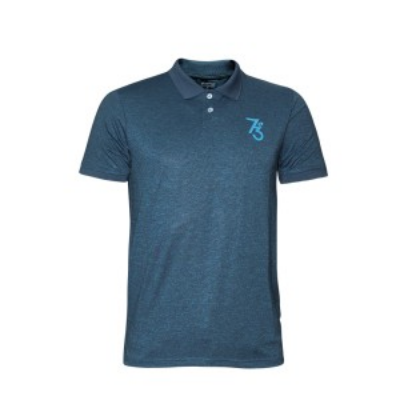 Picture of BLUE POLO SHIRTS SPORTS  FOR MEN 8BX1900