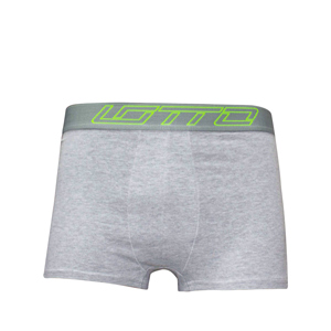 Picture of GREY UNDERGARMENTS  FOR MEN 8IQ0201