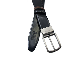 Picture of MULTICOLOR BELTS 8T40109