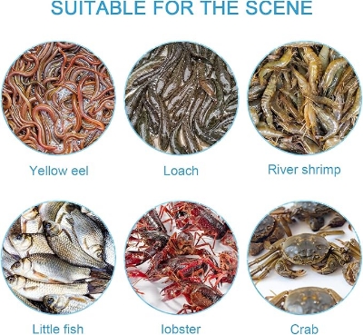 Picture of Holes Catch Mixed Fish Trap Crayfish Catcher Outdoor Fishing Net Cage Plastic Fish Trap Cage Easy to Install Black  