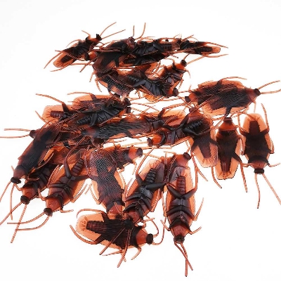 Picture of Children Realistic Toy Cockroach Prank Toy  