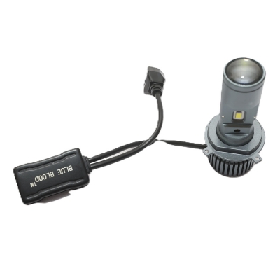 Picture of Carnation Led