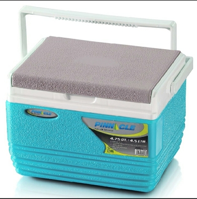Picture of 4.5 Litre Pinnacle Ice Cooler Box with Soft Touch Handle Keeps Cold Upto 48 Hours - Multicolor