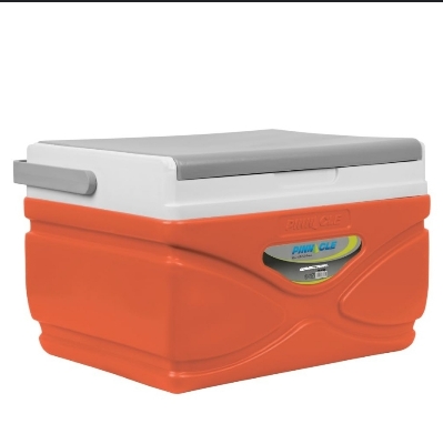 Picture of 4.5 Litre Pinnacle Ice Cooler Box with Soft Touch Handle Keeps Cold Upto 48 Hours - Multicolor