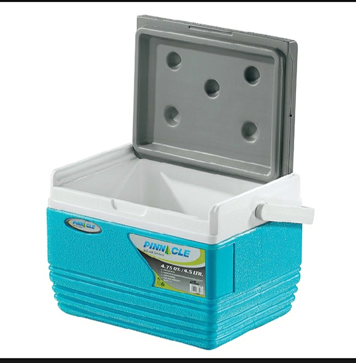 Picture of 4.5 Litre Pinnacle Ice Cooler Box with Soft Touch Handle Keeps Cold Upto 48 Hours - Multicolor